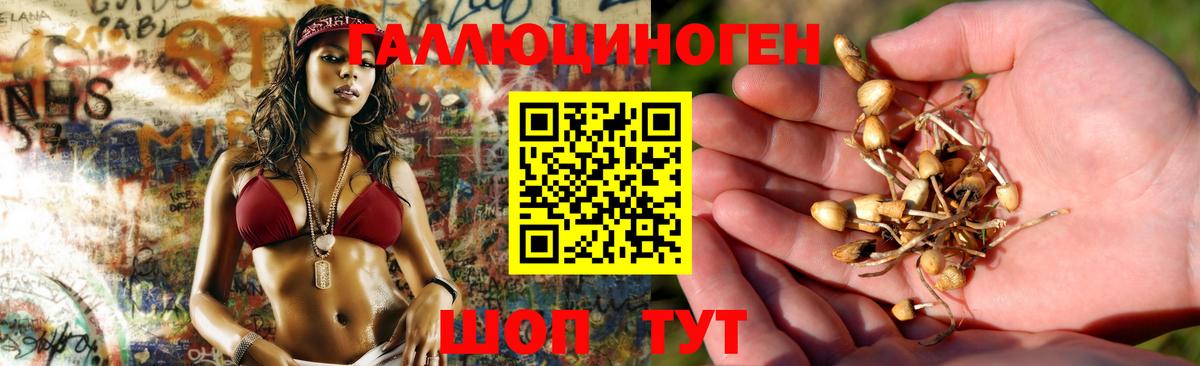 Псилоцибиновые грибы мухоморы Ачинск