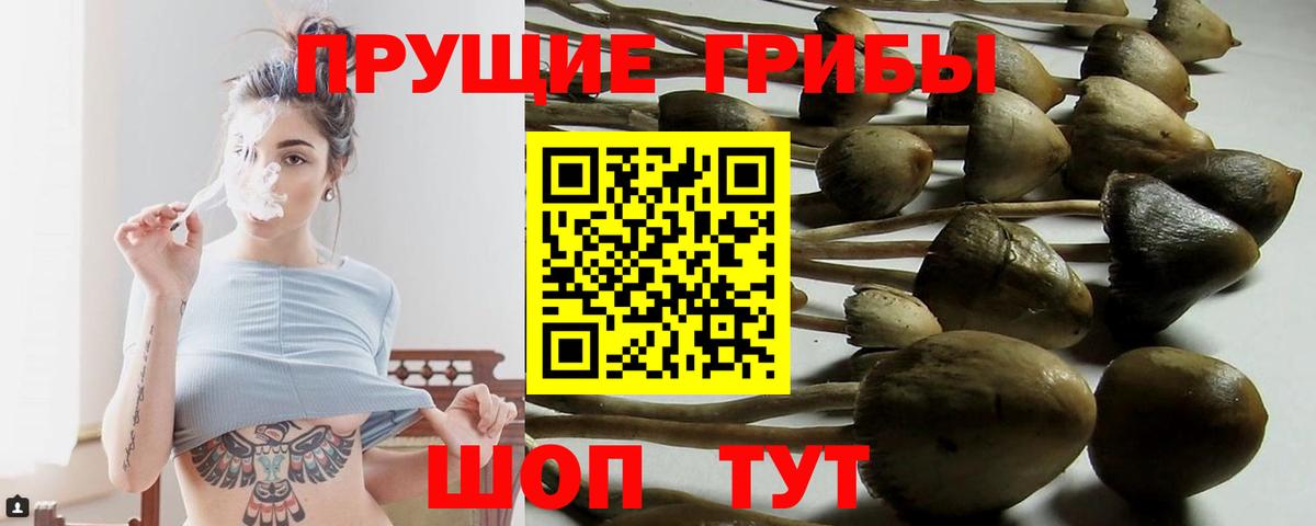 Галлюциногенные грибы мухоморы  Вход с VPN  Ачинск 